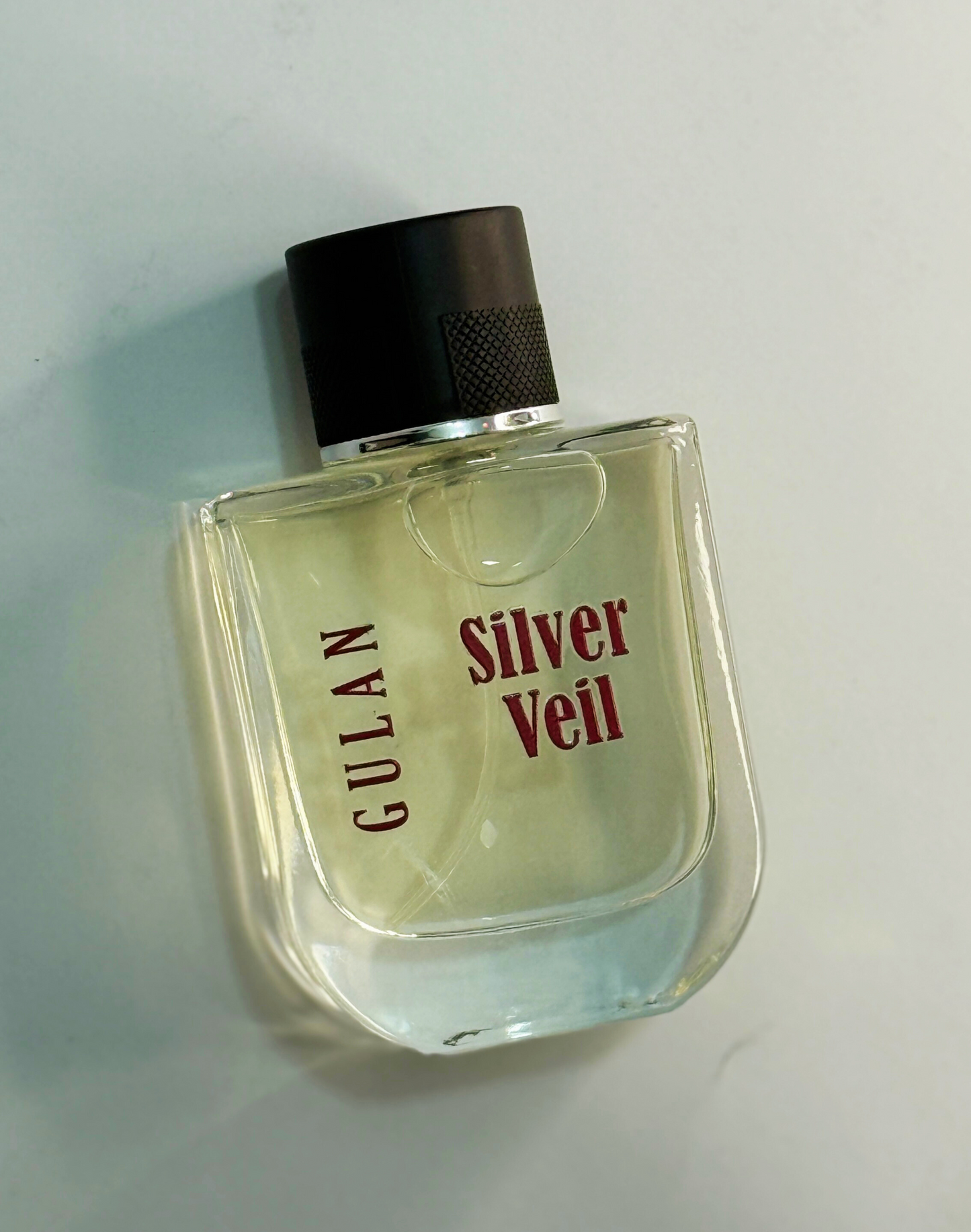 The Silver Veil